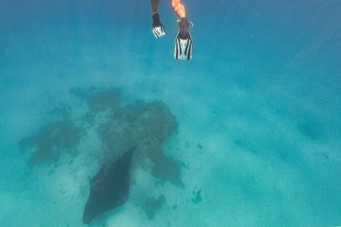 Exceptional Half Day on the Bora Bora Lagoon in Combo - Exploring the Bora Bora Lagoon on a Half-Day Tour: What to Expect