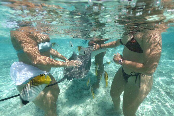 Exceptional Half day on the turquoise lagoon of Bora Bora - What We Think: The Experience’s Real Value