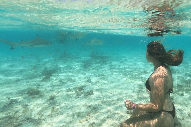 Exceptional Half day on the turquoise lagoon of Bora Bora - The Sum Up
