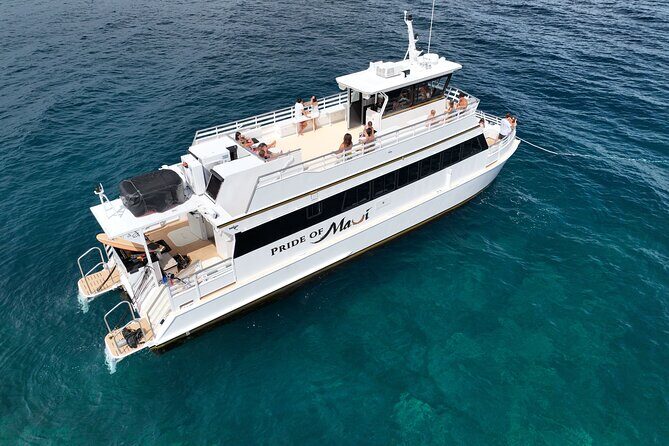 Exceptional Maui Whale Watch - An In-Depth Look at the Maui Whale Watch