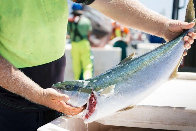 Exceptional Port Lincoln, Seafood and Wildlife Tour - Exploring Lincoln National Park