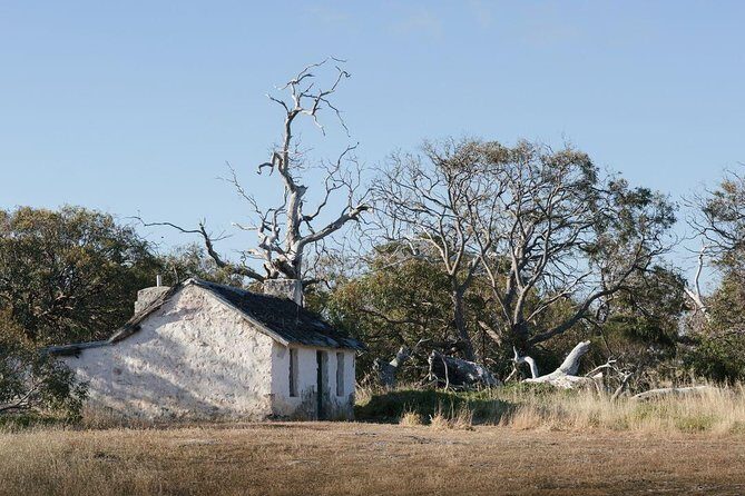 Exceptional Port Lincoln, Seafood and Wildlife Tour - Why This Tour Works