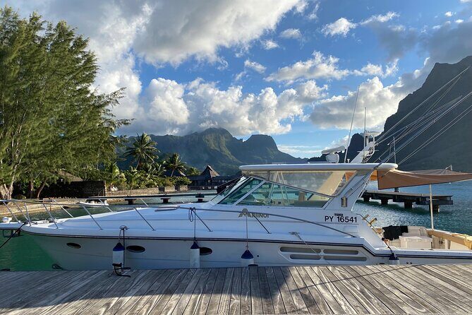 Exceptional whale watching in a Tahiti Yacht - Final Thoughts