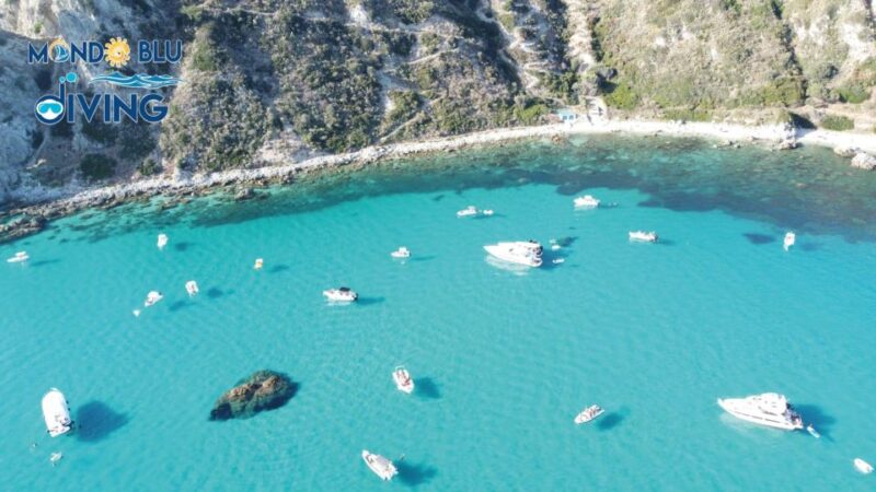 Exciting Coastal Tour With Drinks Included - Customer Experience and Reviews