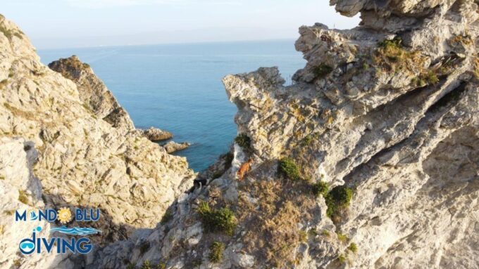 Exciting Coastal Tour With Drinks Included - Aperitif and Refreshments