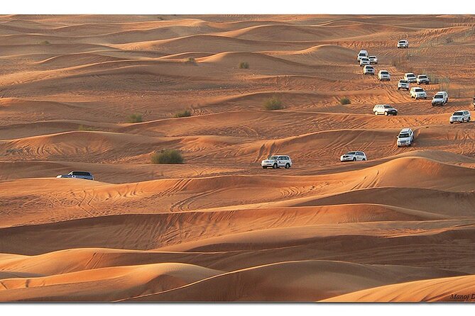Exciting DXB Morning Desert Safari: Camel Ride & Sandboarding! - Camel Riding Adventure