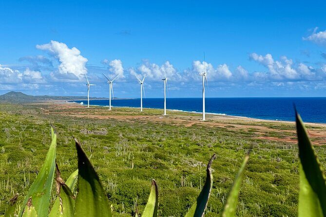 Exclusive 4 -Hour Private nature Tour: West Curacao's Best - Final Thoughts