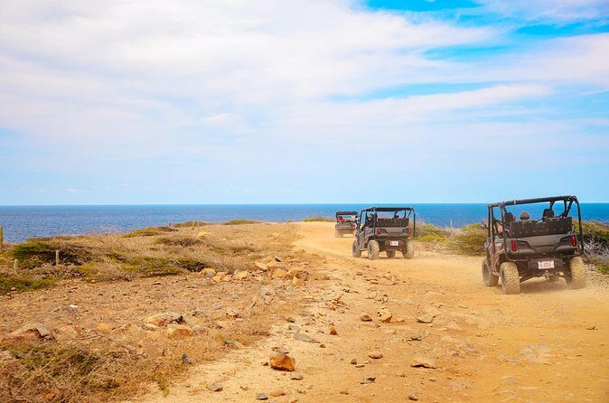 Exclusive Aruba UTV Rentals - The Sum Up: A Personal, Value-Driven Way to Experience Aruba