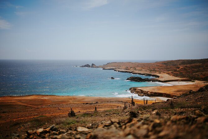 Exclusive Aruba UTV Tours - Why This Tour Stands Out