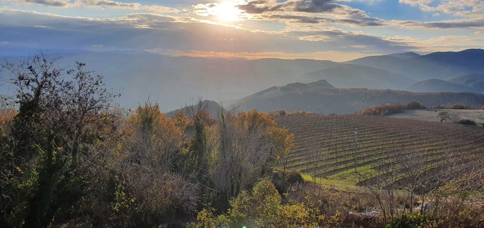 Exclusive Assisi and Sagrantino di Montefalco Wines - Assisi: A Town of Faith and Art