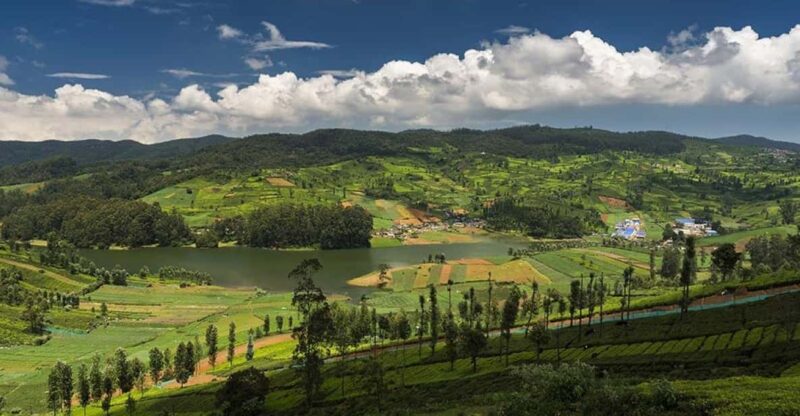 Exclusive, Bangalore Mysore Ooty Tour (05 Nights / 06 Days) - Accommodation and Meals