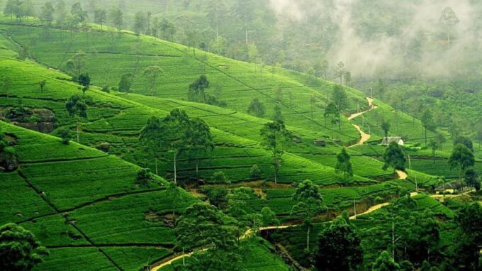 Exclusive, Bangalore Mysore Ooty Tour (05 Nights / 06 Days) - Packing and Restrictions