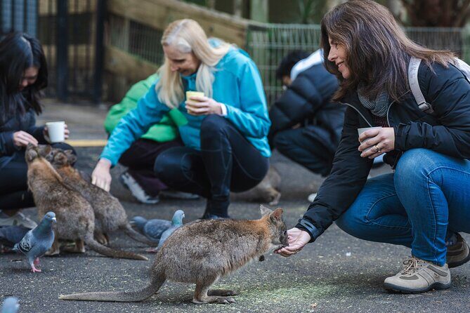Exclusive Blue Mountains Wildlife and Bushwalk Tour From Sydney - Exploring the Tour in Detail