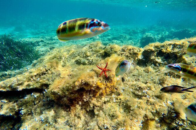 Exclusive boat tour max 9 people tropea capo vatican - Group Size and Atmosphere