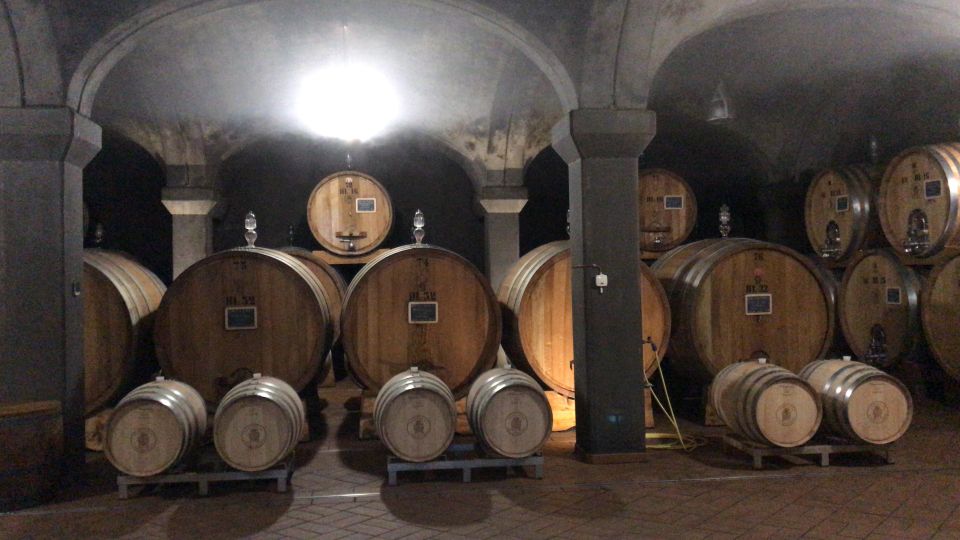 Exclusive Brunello Di Montalcino From Florence - Itinerary Overview