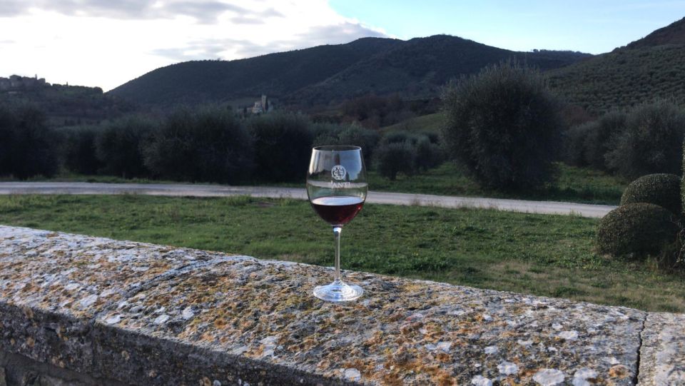 Exclusive Brunello Di Montalcino From Florence - Tuscan Lunch