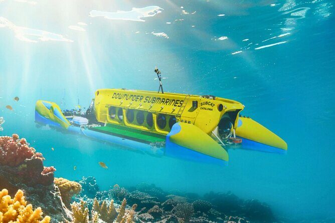 Exclusive Cayman Underwater Adventure: Yellow Submarine Cayman - Introduction: Is the Yellow Submarine Cayman Worth Your Time?