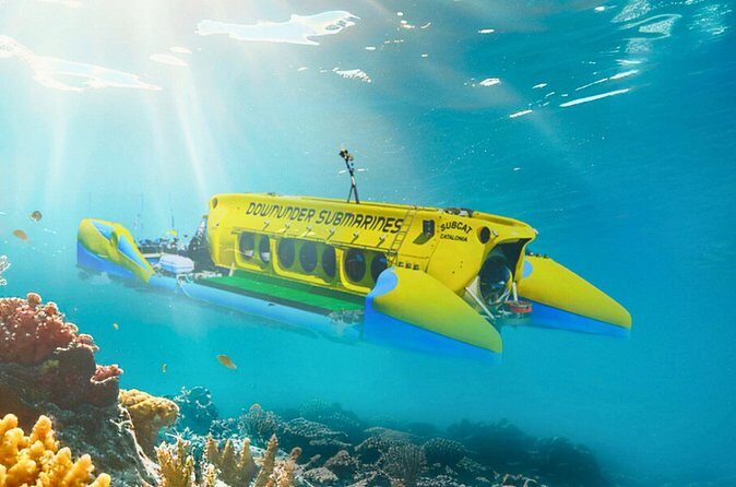 Exclusive Cayman Underwater Adventure: Yellow Submarine Cayman - Who Will Love This Tour?