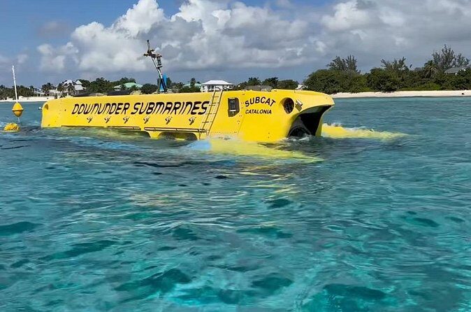 Exclusive Cayman Underwater Adventure: Yellow Submarine Cayman - The Sum Up: Who Should Consider the Yellow Submarine Cayman?