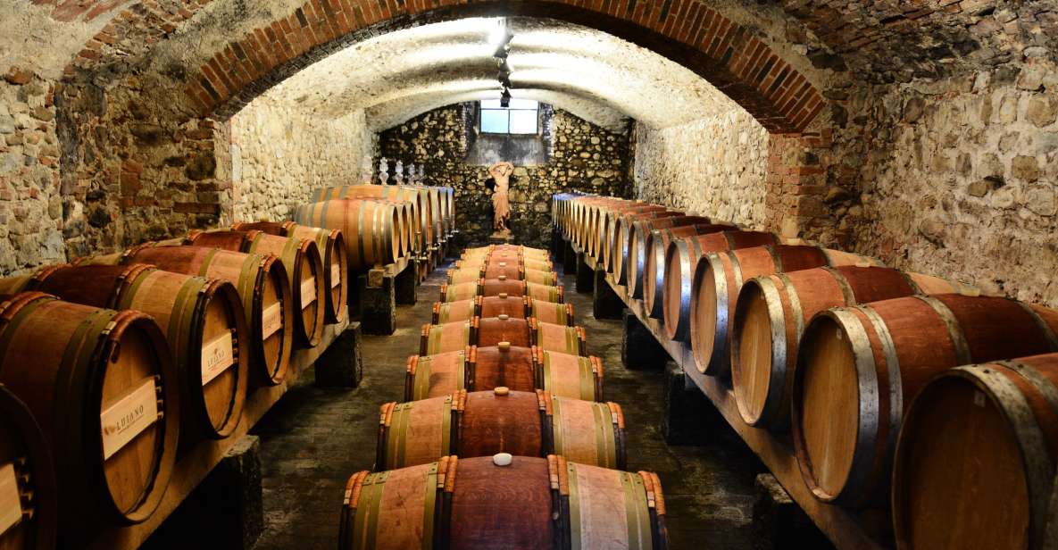Exclusive Chianti Classico Day Trip from Florence - Practical Details for Travelers