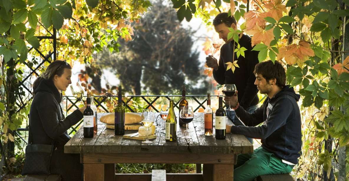 Exclusive Chianti Rufina Half-Day with lunch from Florence - A Closer Look at the Experience