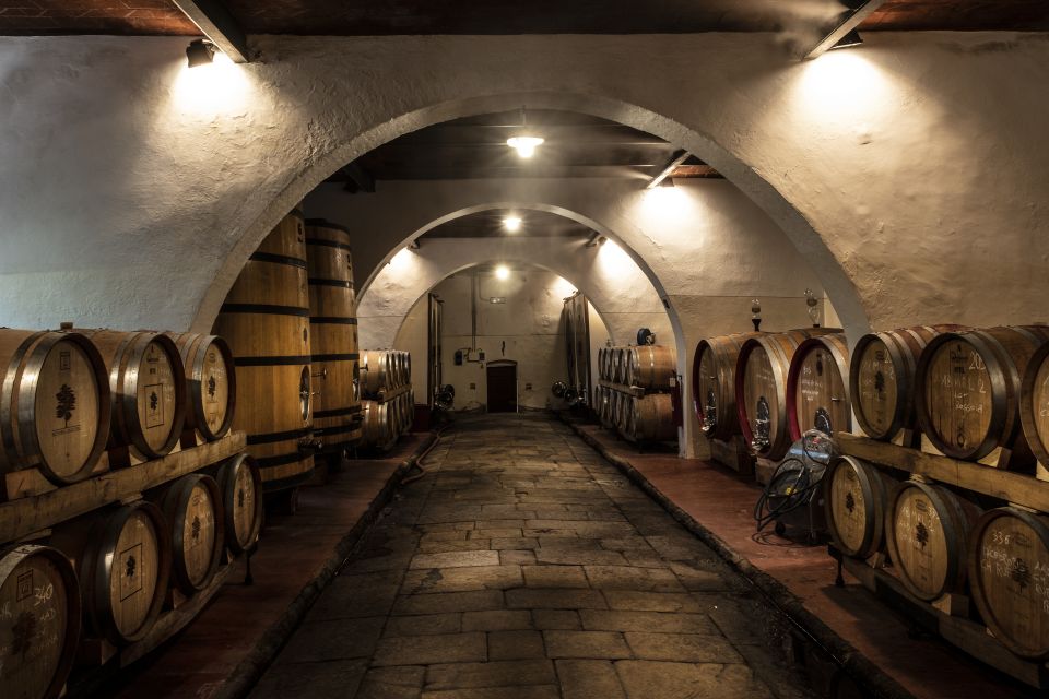 Exclusive Chianti Rufina Half-Day with lunch from Florence - Who Will Love This Tour?