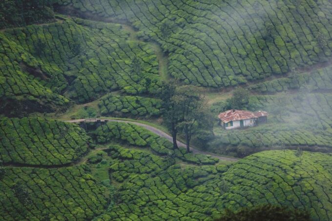 Exclusive, Cochin With Munnar Hill Station Tour (04 Days) - The Sum Up