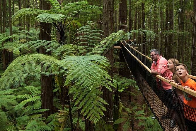 Exclusive Day Trip From Te Puia to Wine Tasting and Redwoods - Exploring the Redwoods