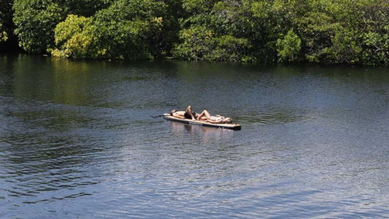 Exclusive dining experience next to a cenote in Tulum - What Makes This Tour Stand Out?