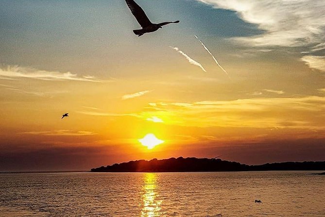 Exclusive Dolphin & Sunset Cruise With Dinner & Drinks From Pula - Cruise Inclusions