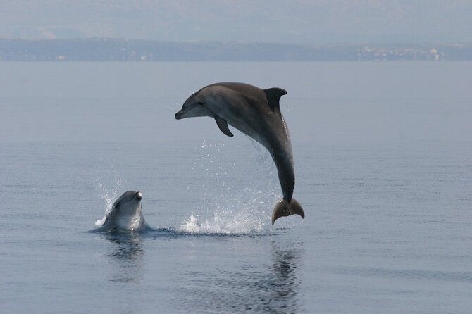 Exclusive Dolphin & Sunset Cruise With Dinner & Drinks From Pula - Destination Details