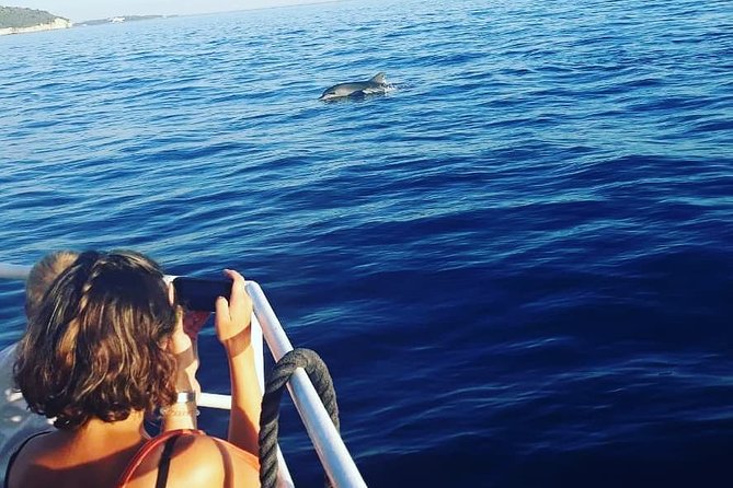Exclusive Dolphin & Sunset Cruise With Dinner & Drinks From Pula - Customer Reviews