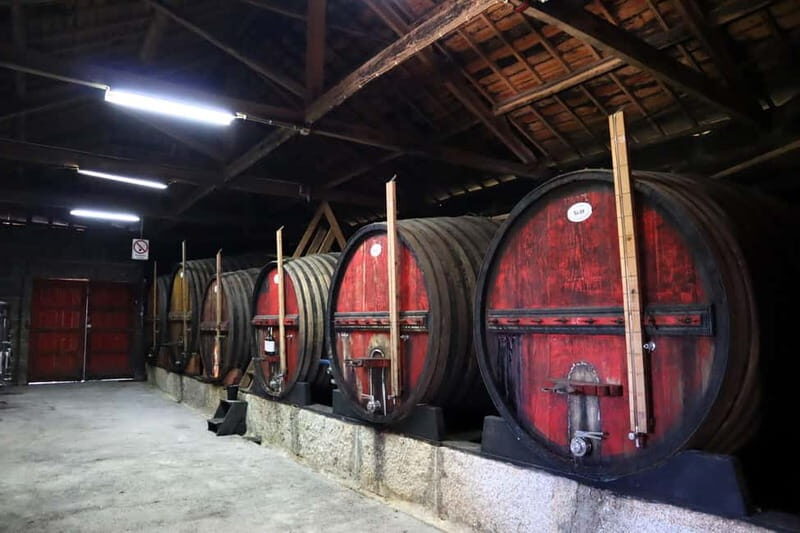 Exclusive Douro Valley: 3 Wineries, 9 Wine Tastings & Lunch - A Full Breakdown of What to Expect