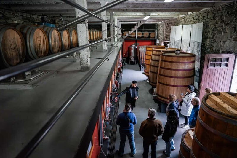 Exclusive Douro Valley: 3 Wineries, 9 Wine Tastings & Lunch - Frequently Asked Questions
