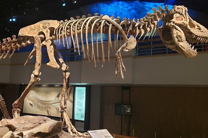 Exclusive Drumheller Private Tour from Calgary - Wrapping Up: Sunset Drive Back to Calgary