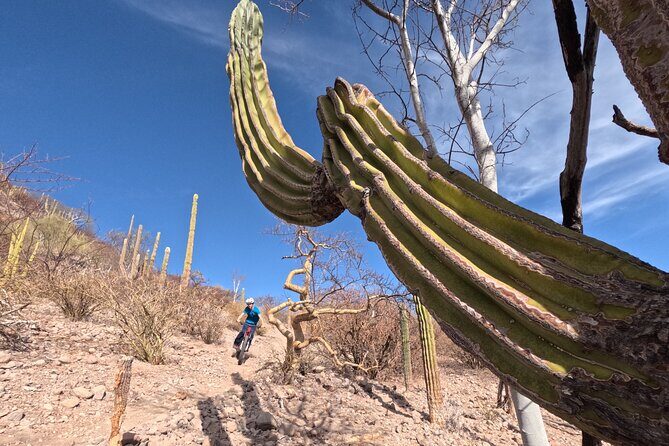 Exclusive Ebike Adventure in Nopolo National Park - An Adventure in the Heart of Loreto’s Wilderness