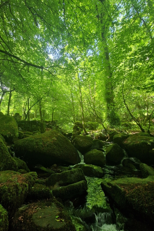 Exclusive Full Day Guided Tour - Mining and Gunpowder - Important Information for Participants