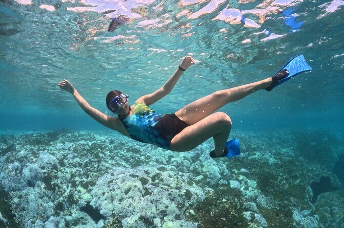 Exclusive Fullday Tour of San Agustín & 9 Bays of Huatulco (8 hr) - What Makes This Tour Special?