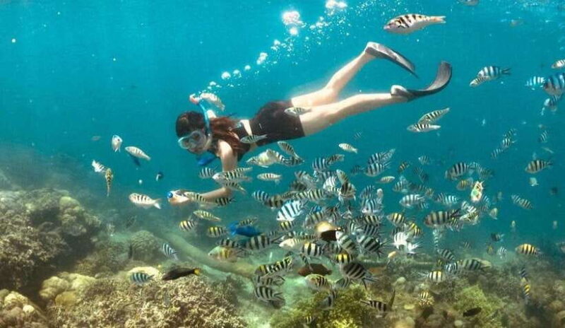 Exclusive Gili Nanggu, Sudak, and Kedis Tour Featuring GoPro - Final Thoughts: Is It Worth It?