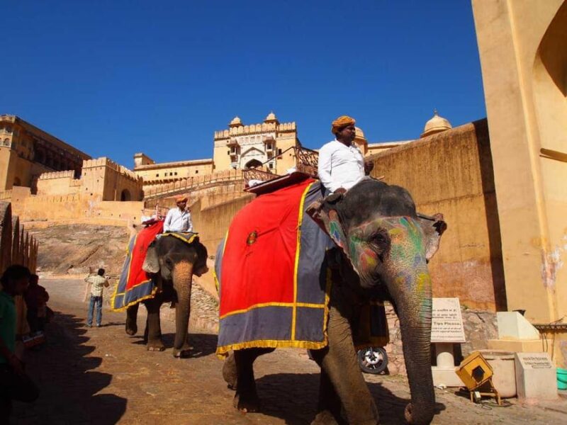 Exclusive, Golden Triangle Tour (03 Nights / 04 Days) - Day 3: Jaipur Sightseeing