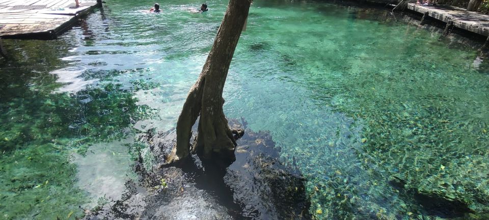 Exclusive Holbox: Yalahau, Punta Mosquito and Isla Passion - Departure and Transportation