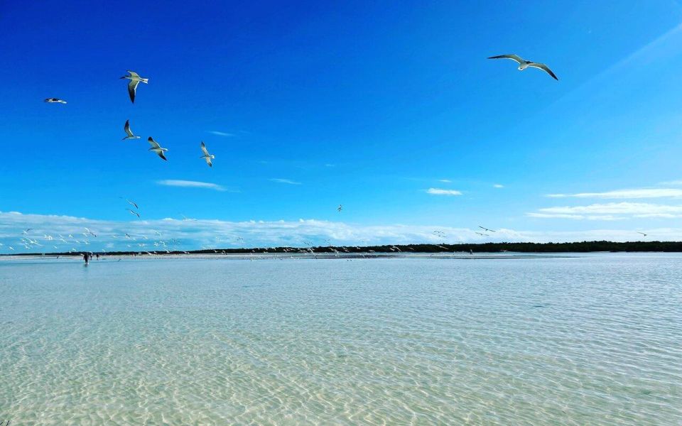 Exclusive Holbox: Yalahau, Punta Mosquito and Isla Passion - Additional Information