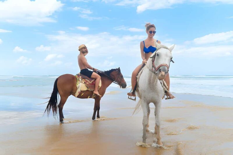 Exclusive Horseback Riding Adventure Countryside & Beach - The Sum Up