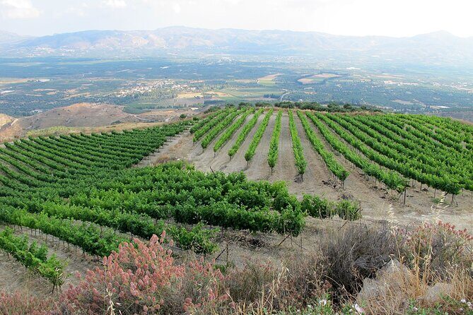 Exclusive Jeep Tour, South Crete, Winery, Donkeys, Secret Beach - Frequently Asked Questions