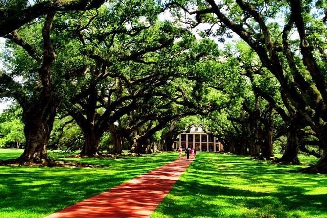 Exclusive Journey Through Louisianas Historic Plantations - Immerse in Plantation History