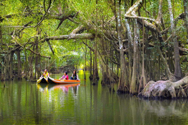 Exclusive Khao Lak Highlights - Private Tour - Customization Options