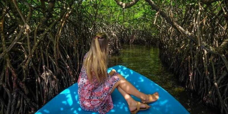 Exclusive Madu River Safari & Turtle Farm Tour from Colombo - Considerations and Practicalities