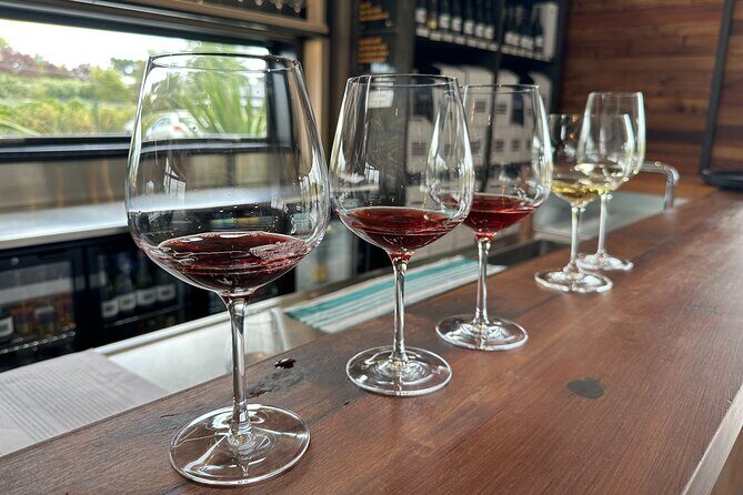 Exclusive Martinborough Wine Tour - Key Points