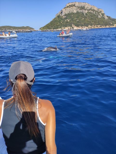 Exclusive Motor Boat Dolphins Watch - Activity Highlights and Itinerary