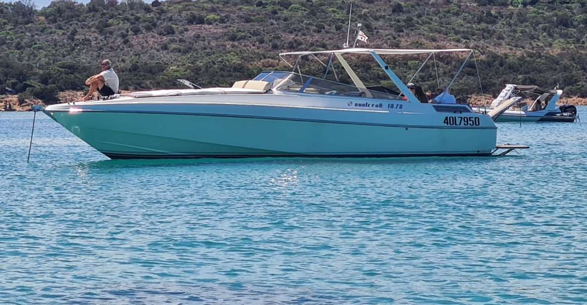 Exclusive Motor Boat Dolphins Watch - Booking Options and Flexibility